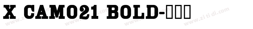 X CAM021 Bold字体转换